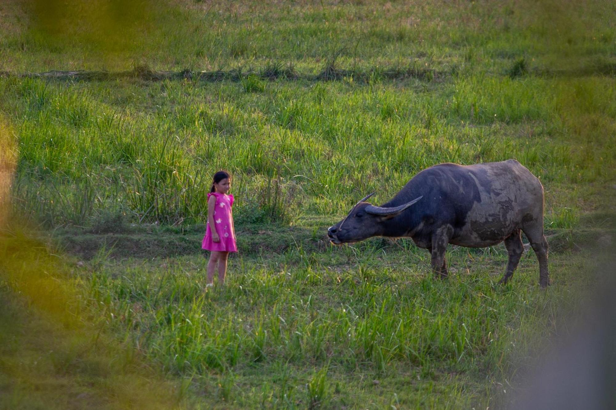Phong Nha Farmstay Dış mekan fotoğraf