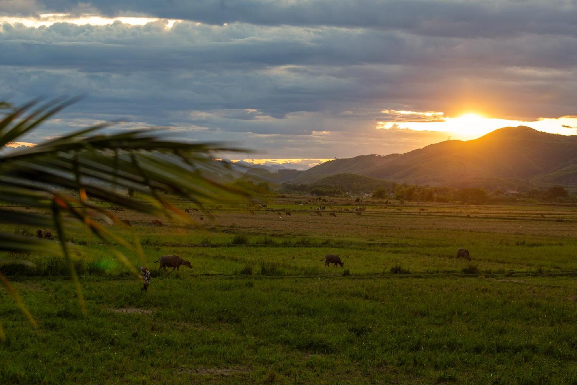 Phong Nha Farmstay Dış mekan fotoğraf